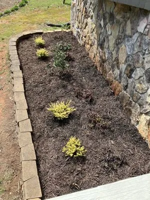 Image Landscape Services