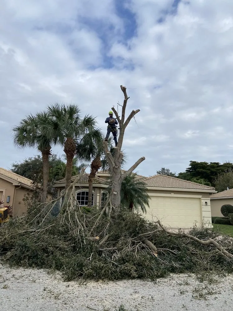 Trusted lawn care service with custom design in Asheville, NC by Image Landscaping & More