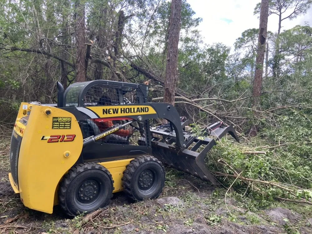 Top-rated yard maintenance for residential properties across Asheville, NC - Image Landscaping & More