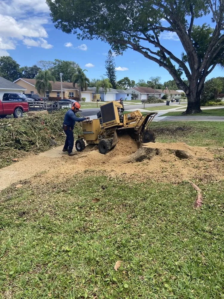 Local yard maintenance in Asheville, NC by Image Landscaping & More