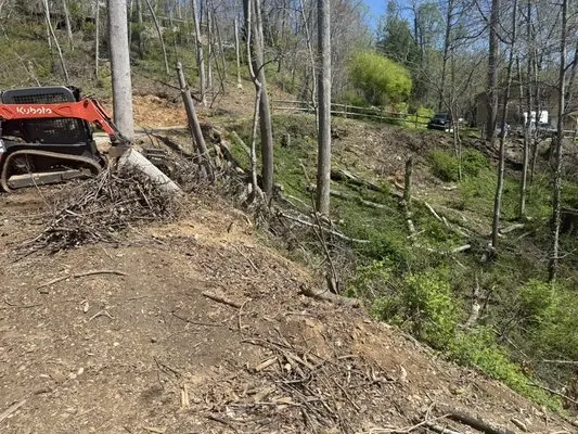 Image Landscaping & More