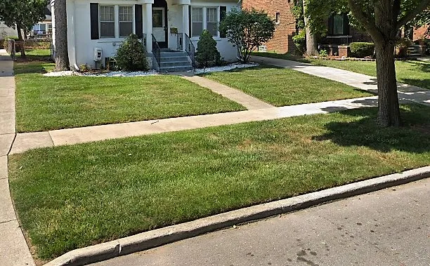 Affordable outdoor landscaping experts serving Detroit, MI - Image Lawn Service