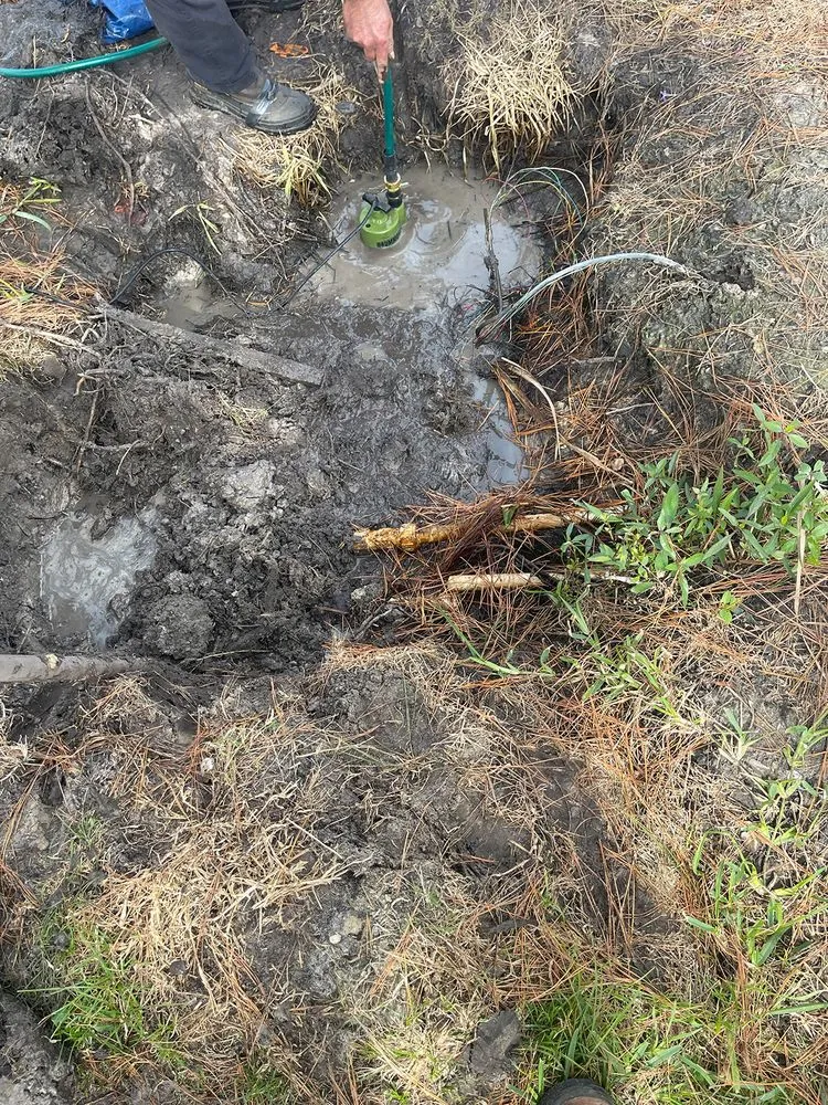 Local garden landscaping in Lakeland, FL by Image Maker Landscape Management Service