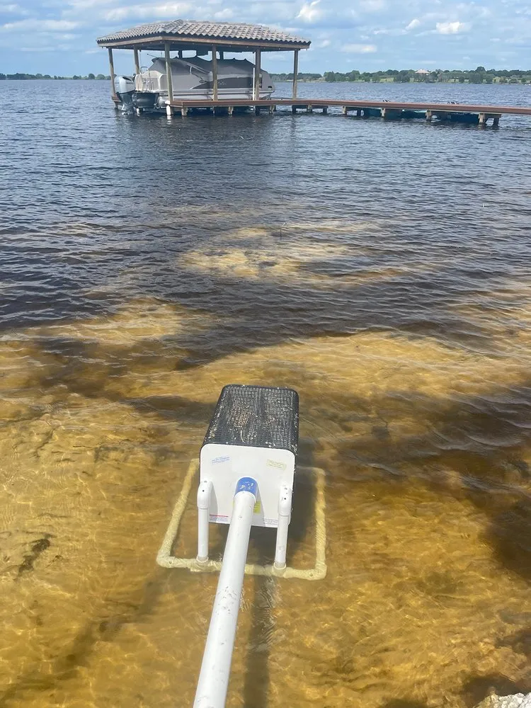 Professional yard cleanup service for year-round maintenance in Lakeland, FL by Image Maker Landscape Management Service