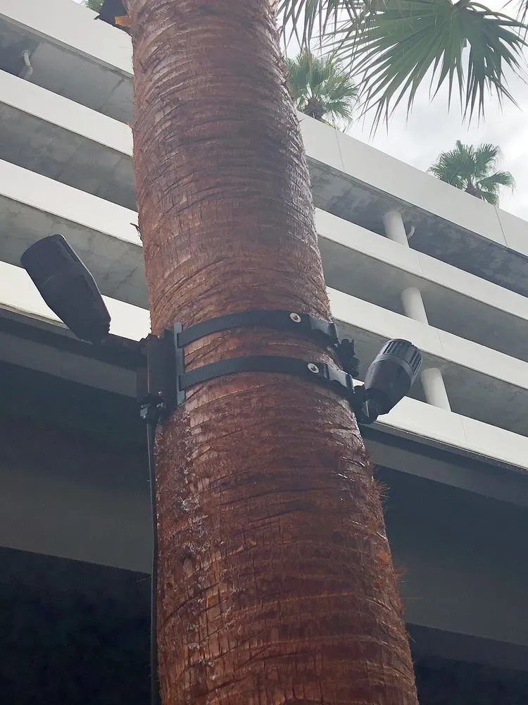 Expert yard maintenance for residential properties in Lakeland, FL by Image Maker Landscape Management Service