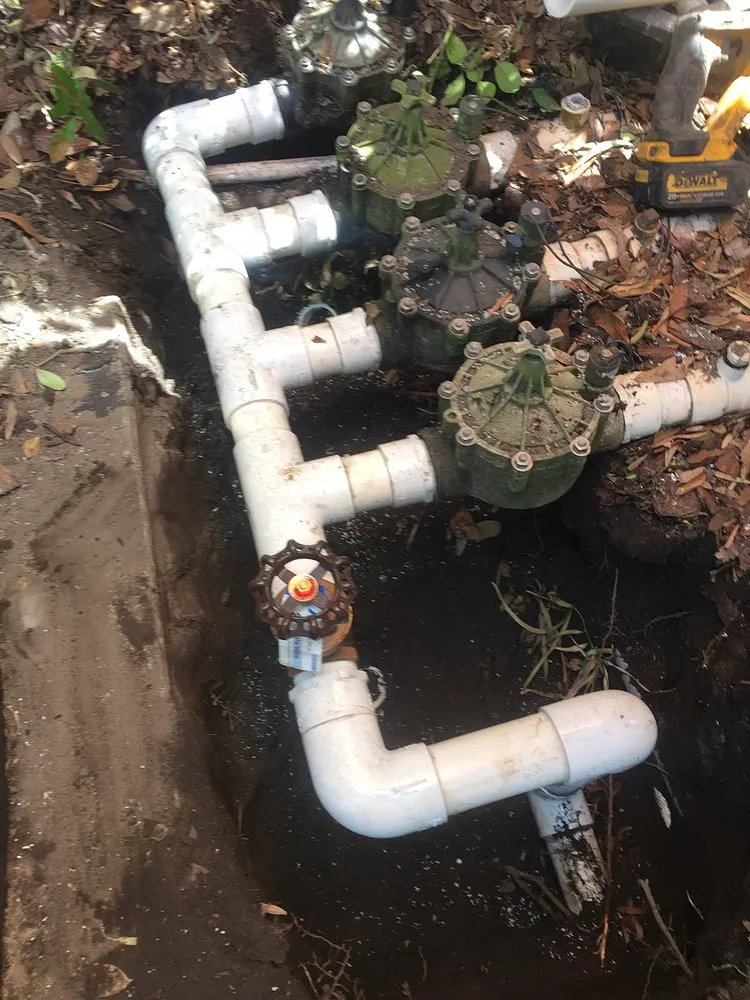 Custom yard cleanup service in Lakeland, FL by Image Maker Landscape Management Service