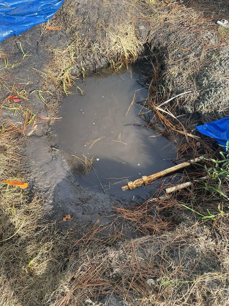 Affordable lawn care service experts serving Lakeland, FL - Image Maker Landscape Management Service