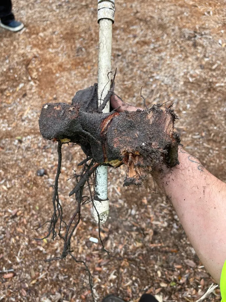 Trusted landscape installation for outdoor upgrades across Lakeland, FL - Image Maker Landscape Management Service