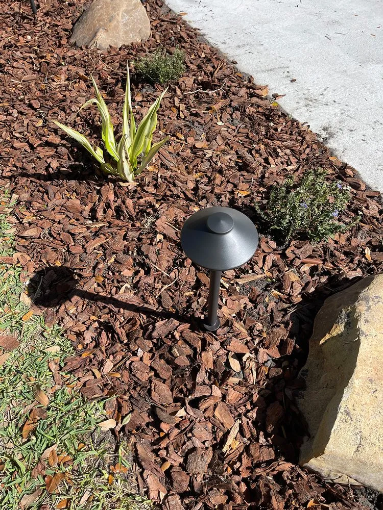 Top-rated yard cleanup service for homes in Lakeland, FL by Image Maker Landscape Management Service