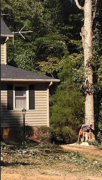 Local yard maintenance for beautiful yards in Randleman, NC by Image Tree and Lawn