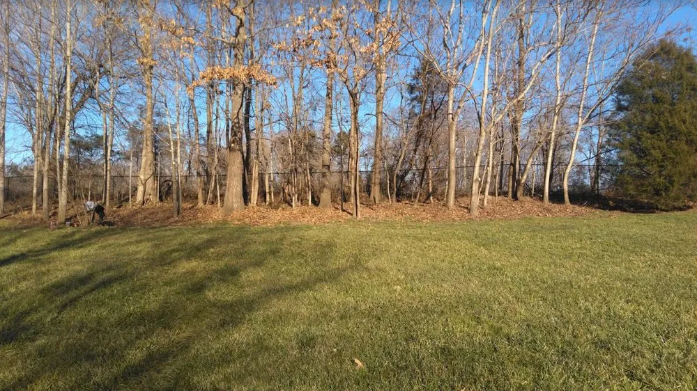 Reliable landscape design in Randleman, NC by Image Tree and Lawn