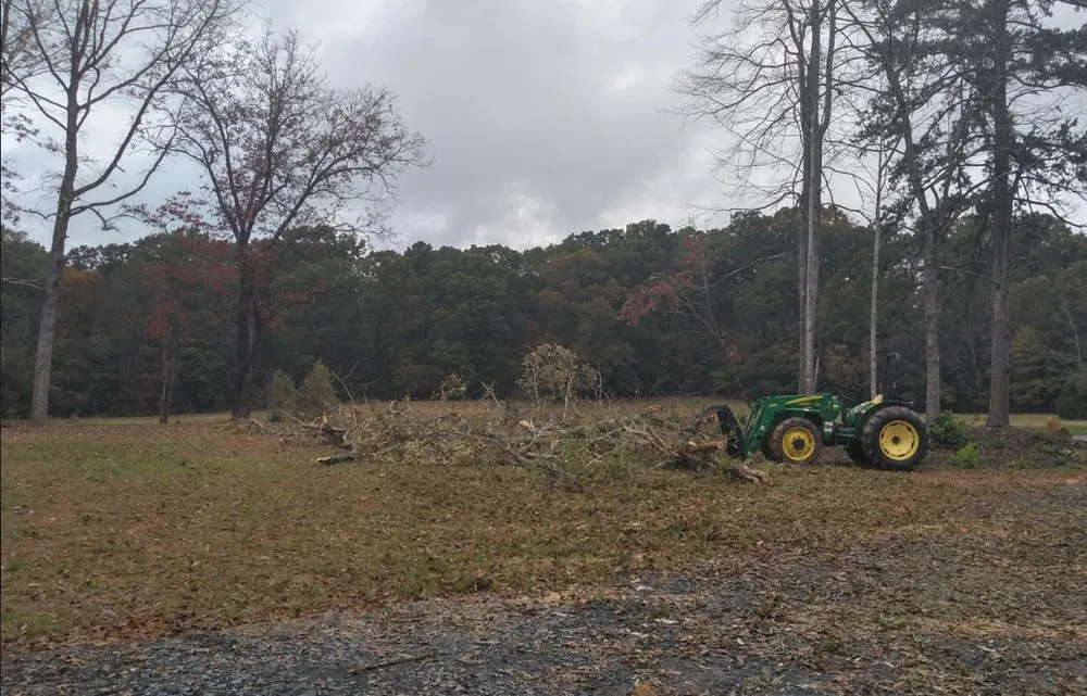 Top-rated garden landscaping for year-round maintenance in Randleman, NC by Image Tree and Lawn