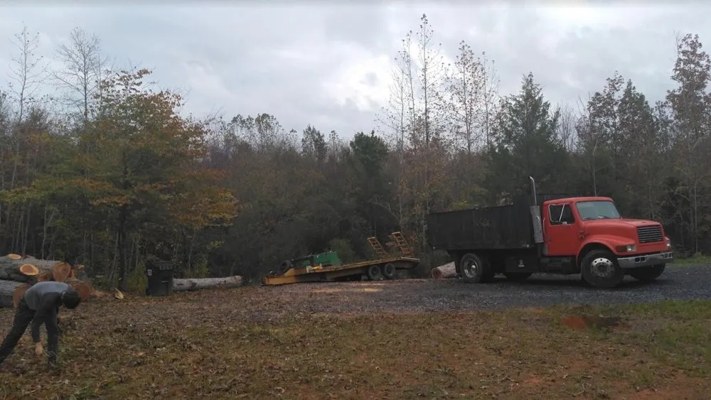 Trusted landscaping services in Randleman, NC - Image Tree and Lawn