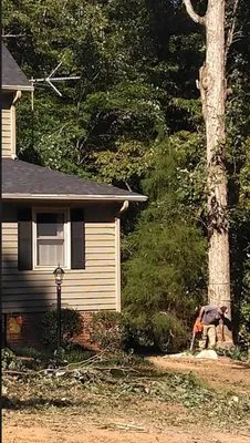 Image Tree and Lawn Logo