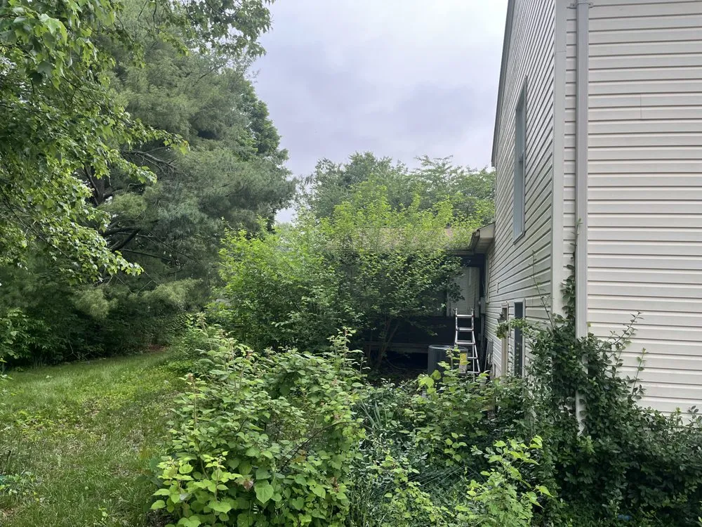 Affordable yard cleanup service in Fairfax Station, VA - Image Works Landscaping