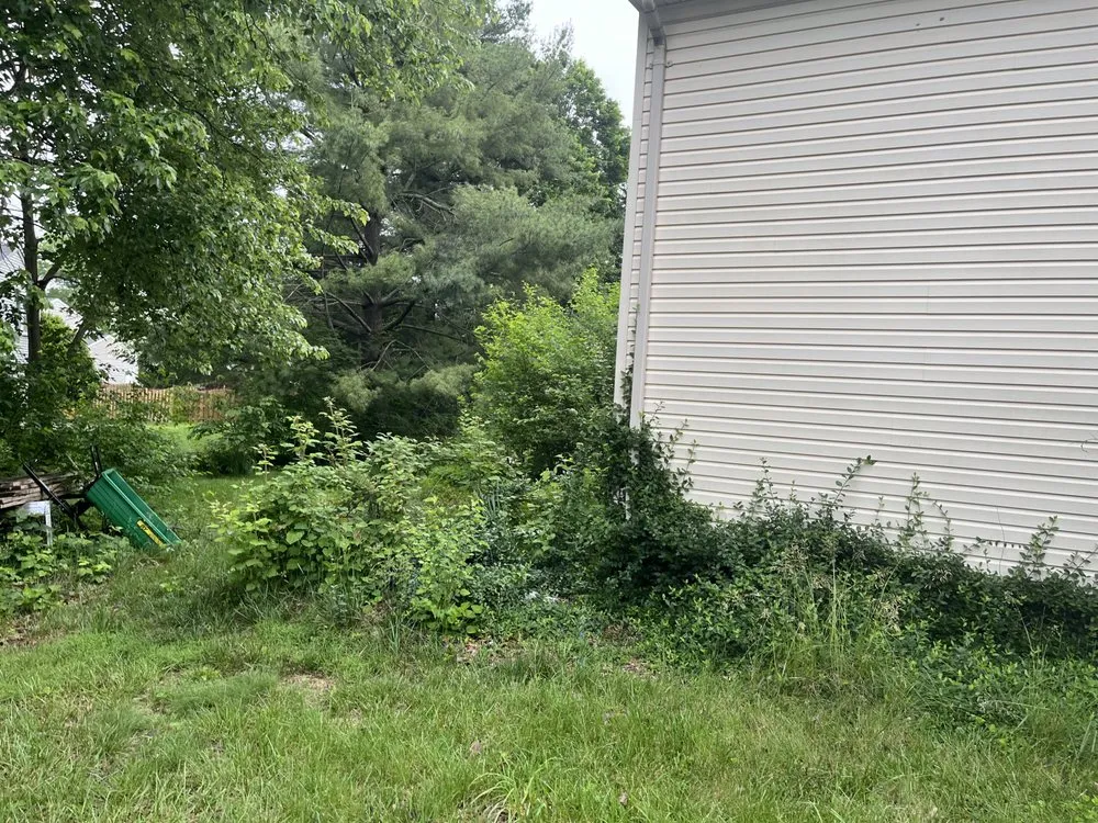 Trusted residential landscaping experts serving Fairfax Station, VA - Image Works Landscaping