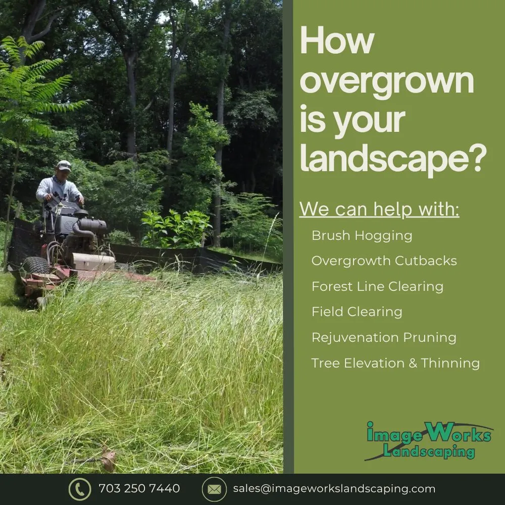 Expert lawn mowing service in Fairfax Station, VA - Image Works Landscaping