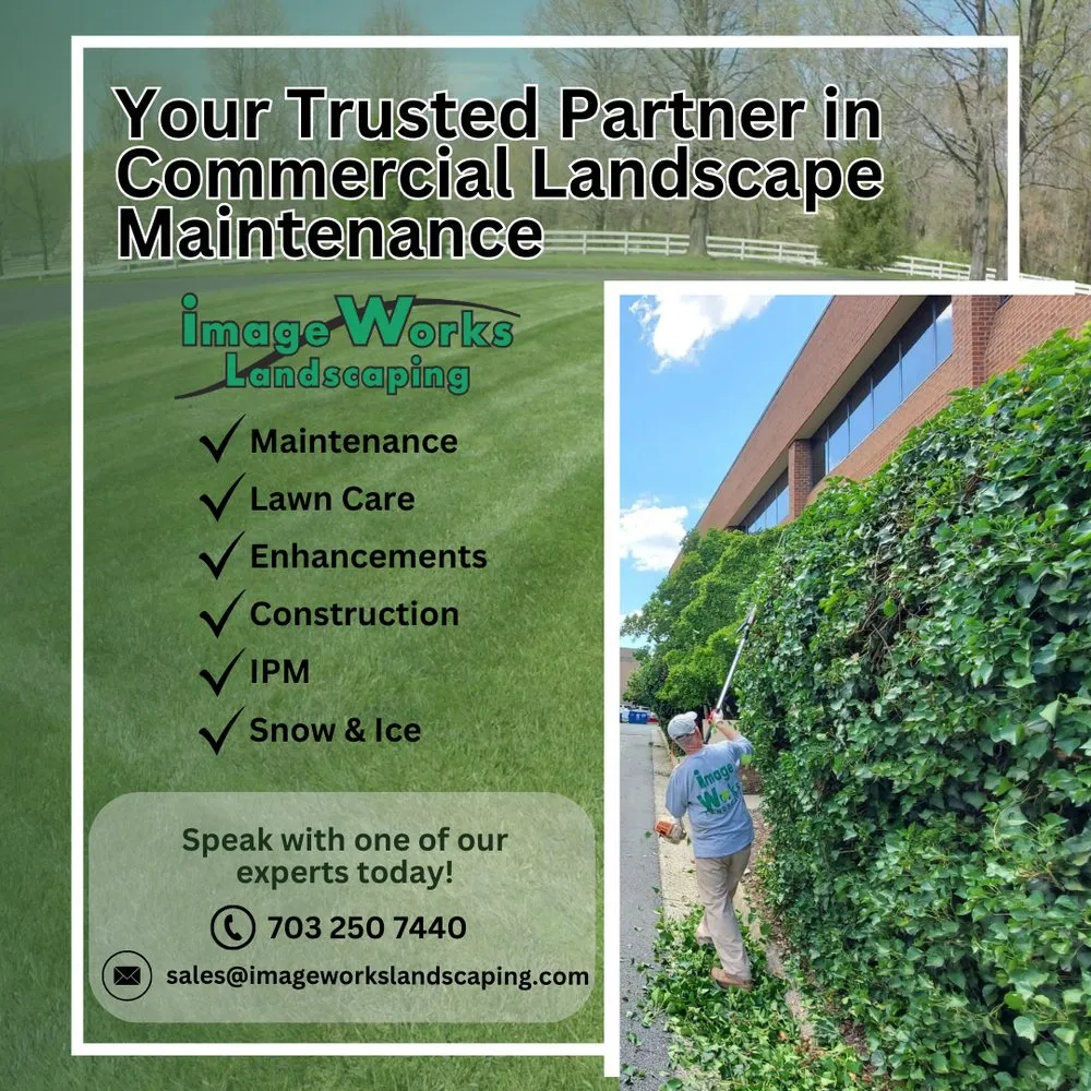 Expert yard cleanup service for beautiful yards in Fairfax Station, VA by Image Works Landscaping