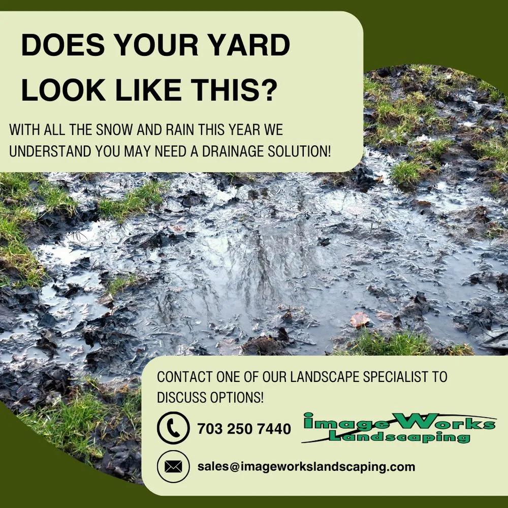 Trusted landscaping services experts serving Fairfax Station, VA - Image Works Landscaping