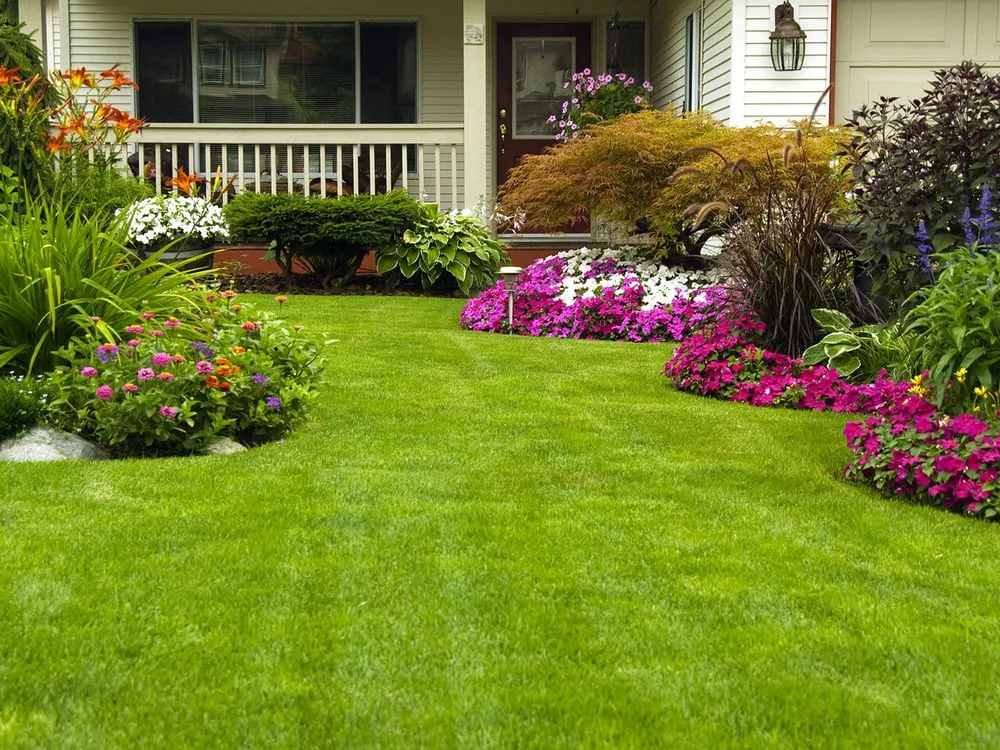 Top-rated lawn mowing service for year-round maintenance across Burlington, KY - Images Advantage Group
