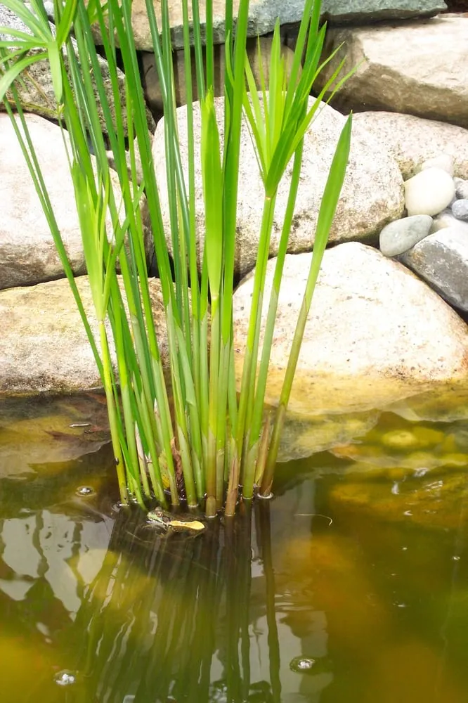 Affordable landscaping services in Milford, MI - Images Landscaping & Construction