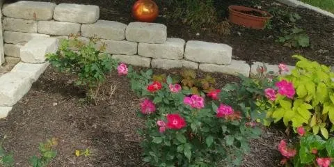 Custom yard cleanup service in Lincoln, NE by ImageScapes Lawn & Landscape