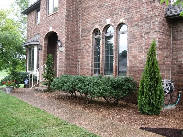 Professional landscape installation in Springfield, MO - Imagination Landscapes