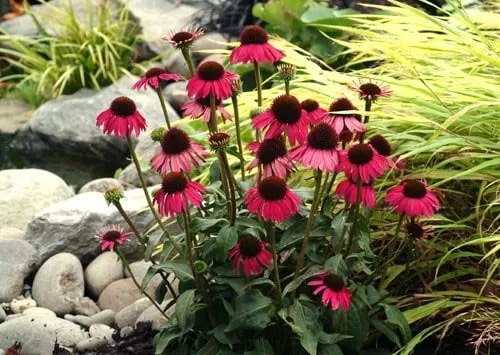 Expert landscape installation in Springfield, MO - Imagination Landscapes