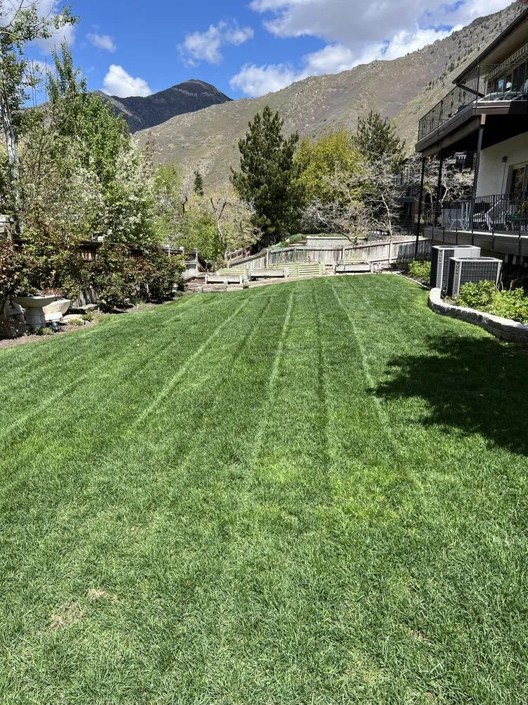 Trusted lawn care service experts serving Midvale, UT - Imagination Lawn Care