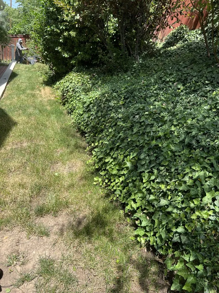 Local landscaping services experts serving Midvale, UT - Imagination Lawn Care