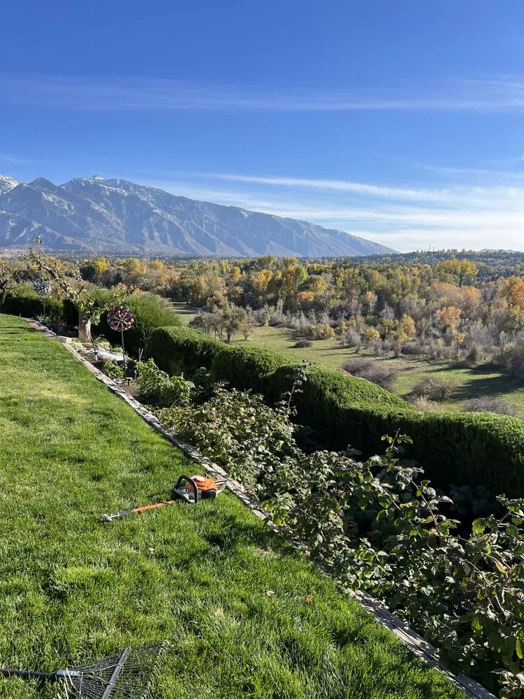 Professional outdoor landscaping experts serving Midvale, UT - Imagination Lawn Care