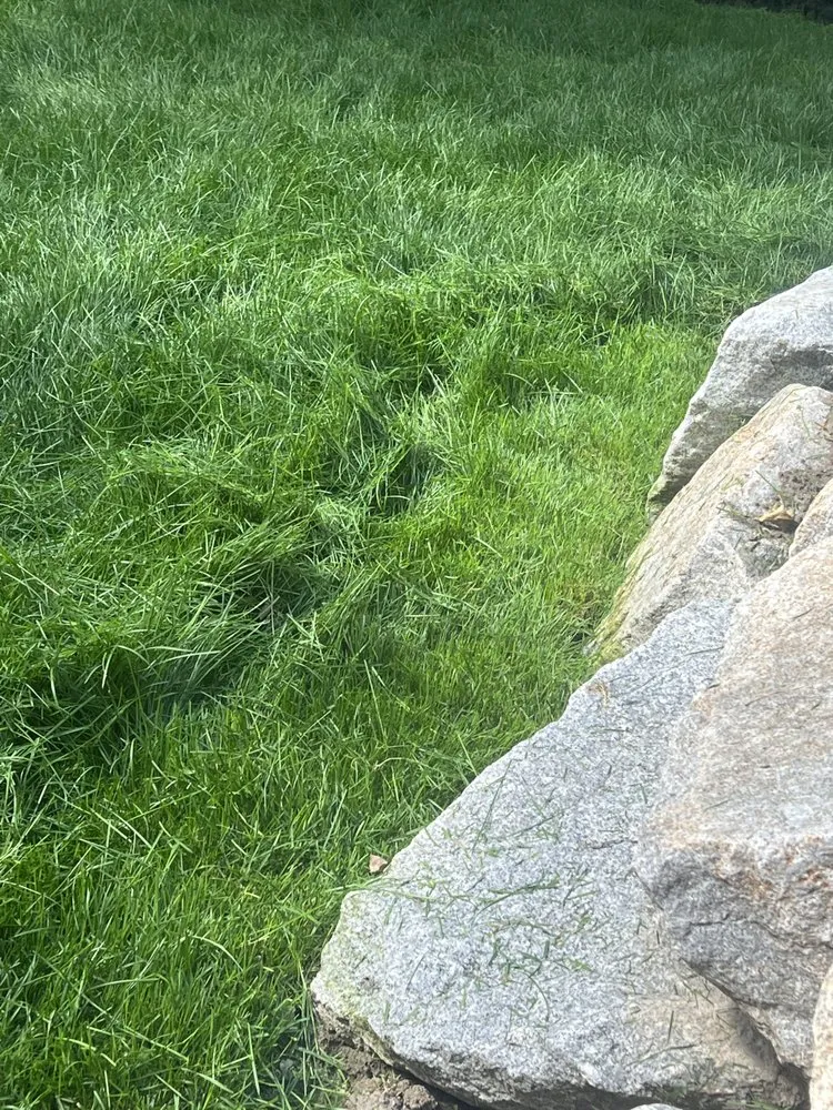 Custom yard maintenance in Midvale, UT - Imagination Lawn Care