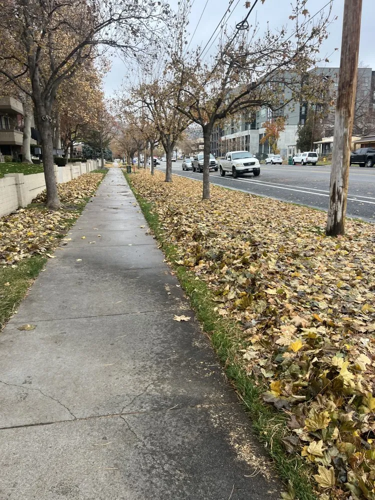 Affordable garden landscaping for beautiful yards across Midvale, UT - Imagination Lawn Care