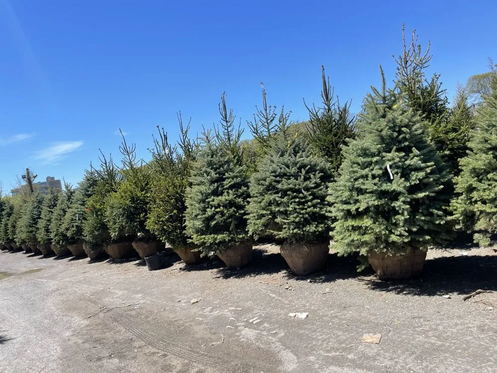 Expert outdoor landscaping near you in Fairfield, CT by Imagine and Create Landscaping