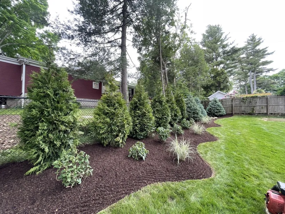 Top-rated yard maintenance in Fairfield, CT - Imagine and Create Landscaping