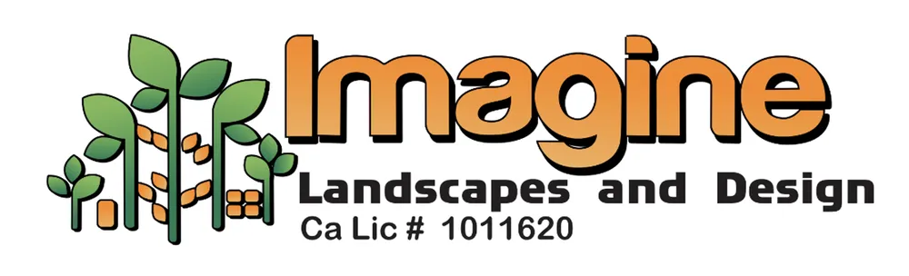 Professional yard cleanup service in West Sacramento, CA by Imagine Landscapes and Design