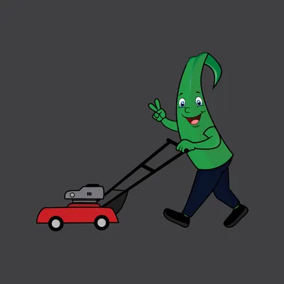 Imagine Lawn Maintenance Logo