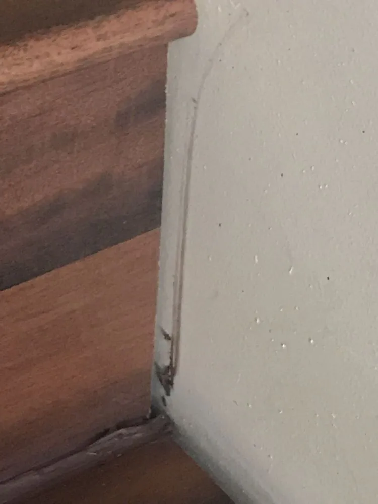 Local outdoor landscaping in Belton, TX by Imajn' It Construction