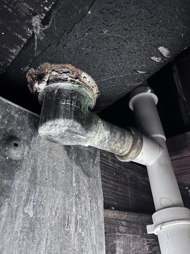 Professional yard cleanup service experts serving Philadelphia, PA - Imfly Volaro