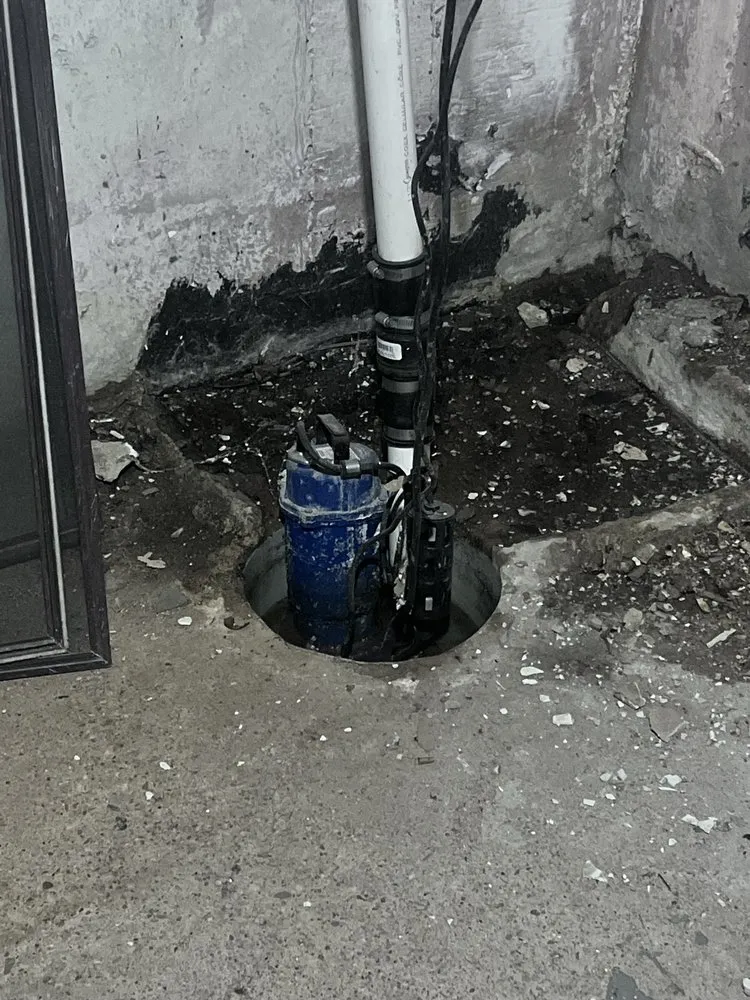 Expert garden landscaping for homes across Philadelphia, PA - Imfly Volaro