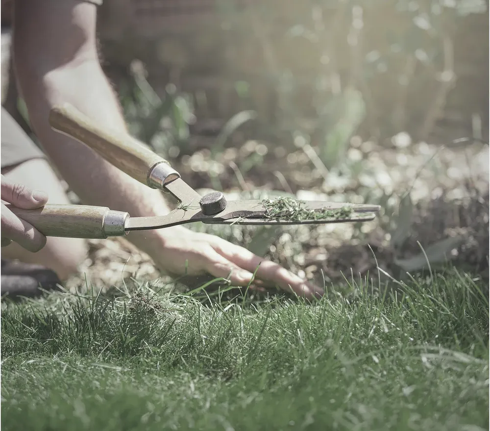 Professional lawn care service in Margate, FL by Immaculate Cuts Lawn