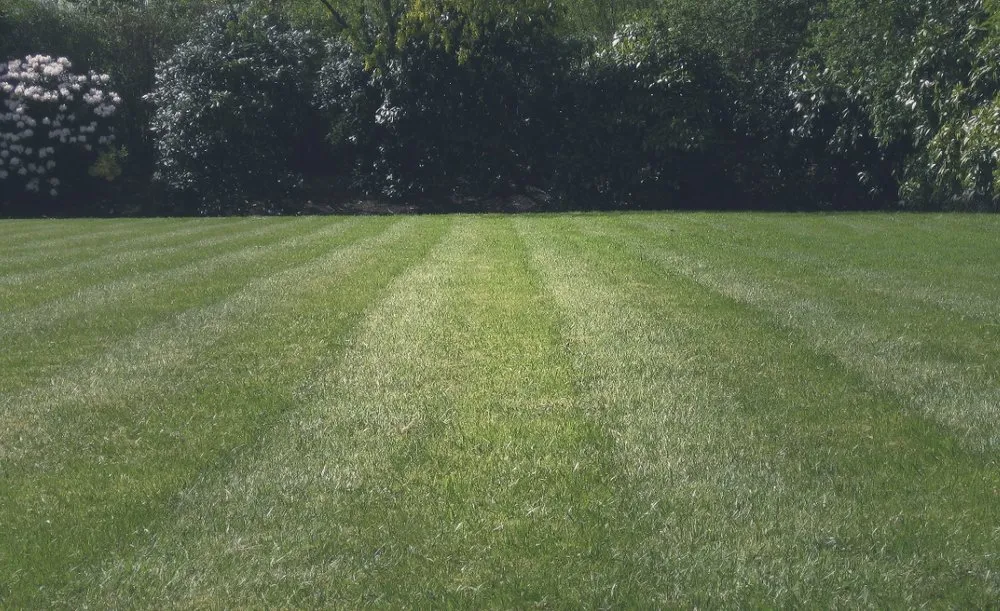 Custom landscape design with custom design in Margate, FL by Immaculate Cuts Lawn