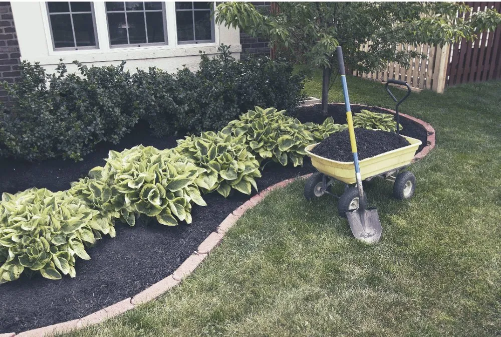 Expert landscaping services in Margate, FL by Immaculate Cuts Lawn