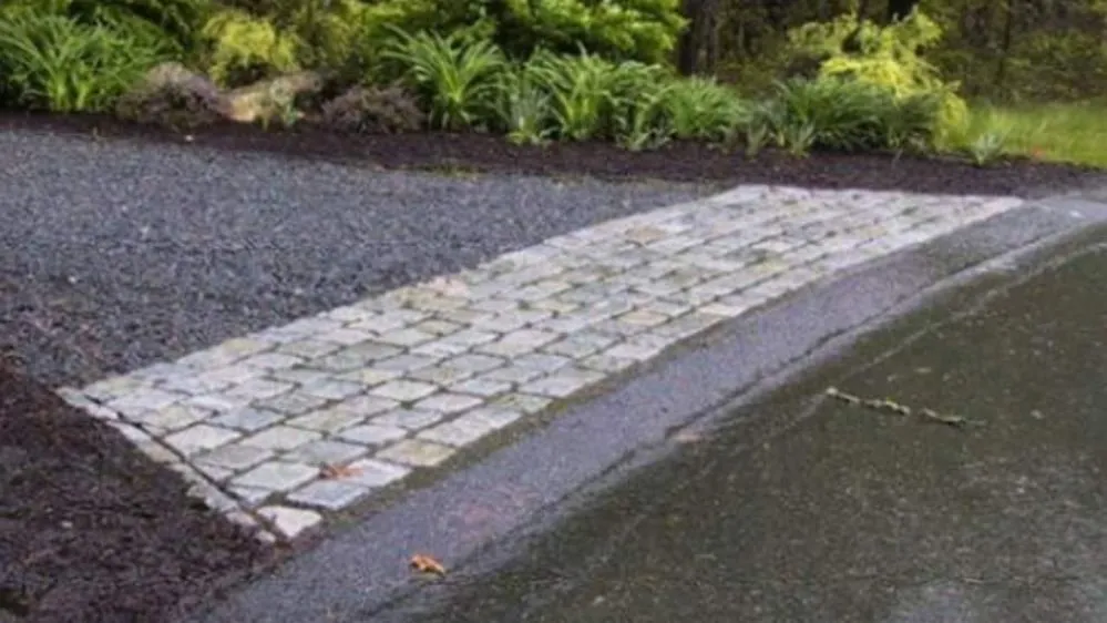 Top-rated lawn care service for year-round maintenance in Fall River, MA by Immaculate Landscape