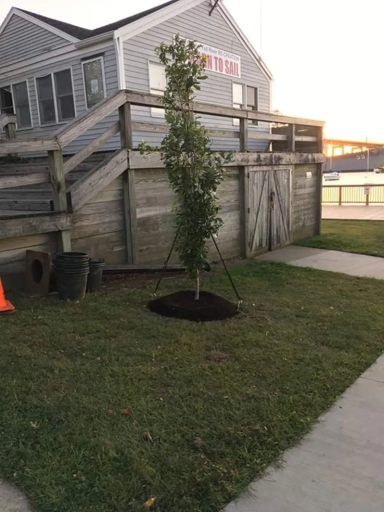 Local yard maintenance in Fall River, MA - Immaculate Landscape