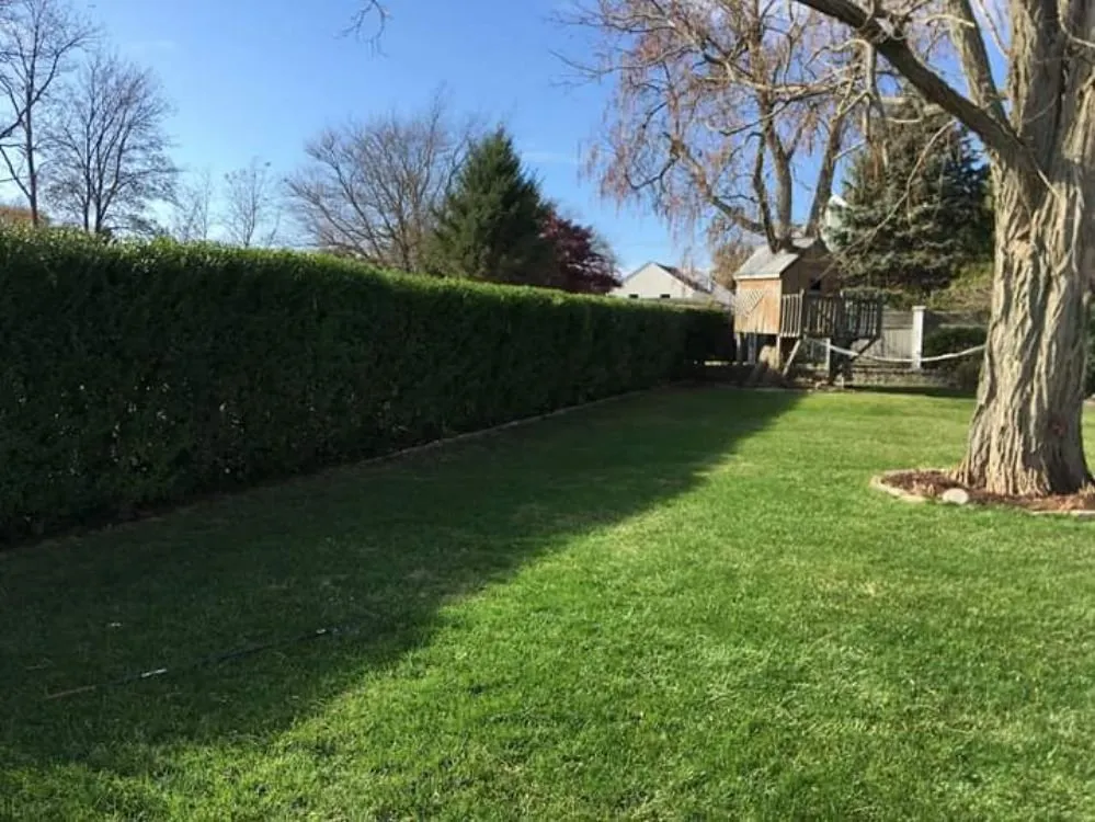 Reliable landscaping services experts serving Fall River, MA - Immaculate Landscape