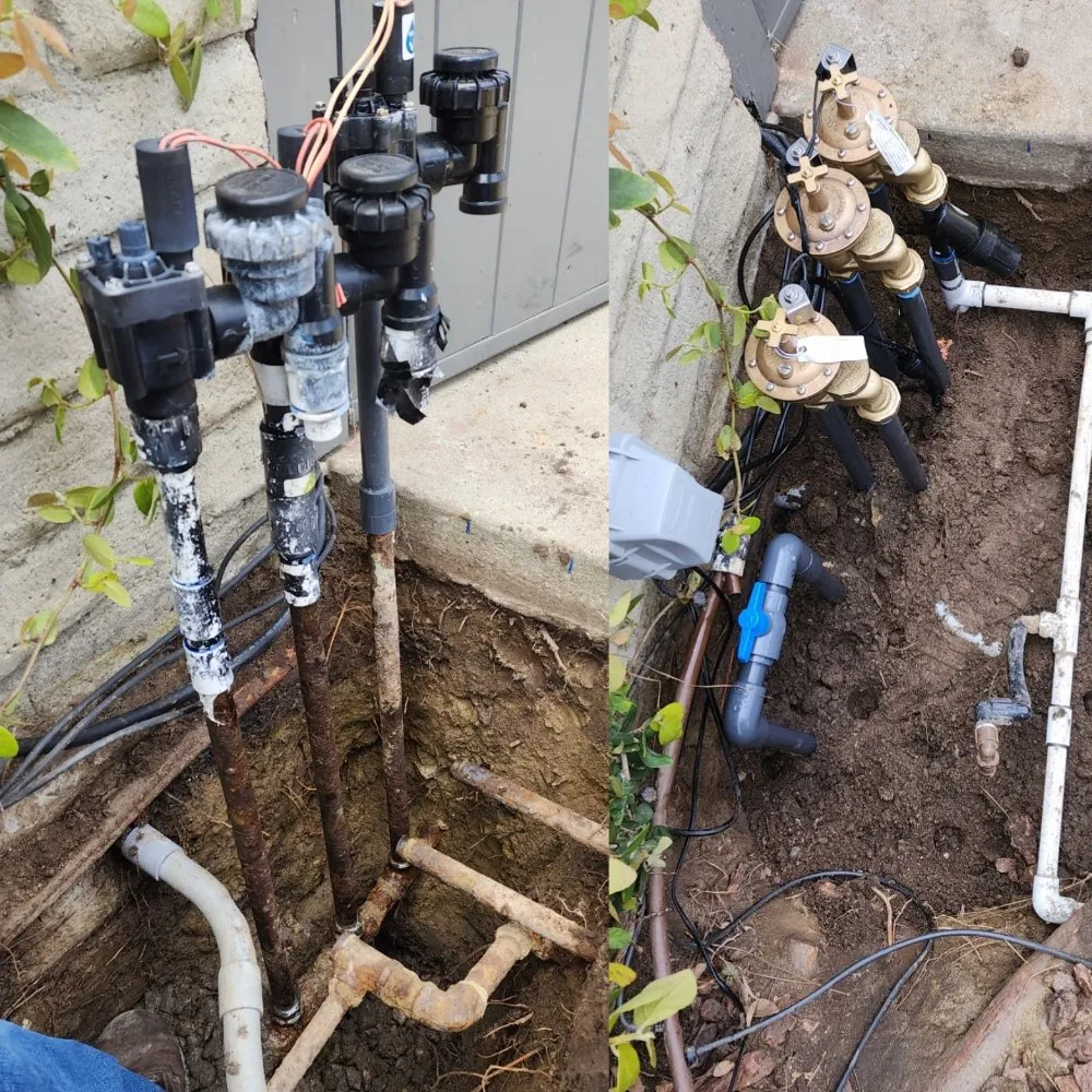 Custom outdoor landscaping in Los Angeles, CA by Immaculate Landscape