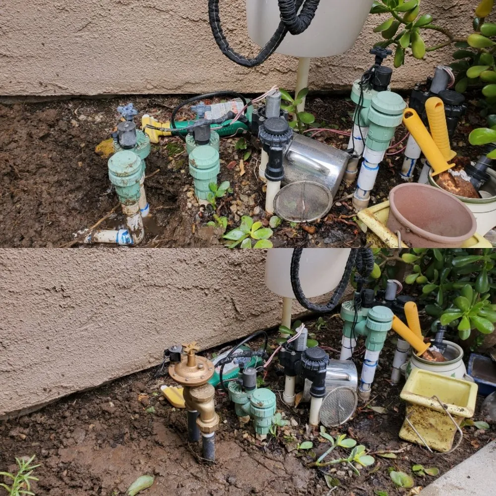 Local landscaping services in Los Angeles, CA - Immaculate Landscape