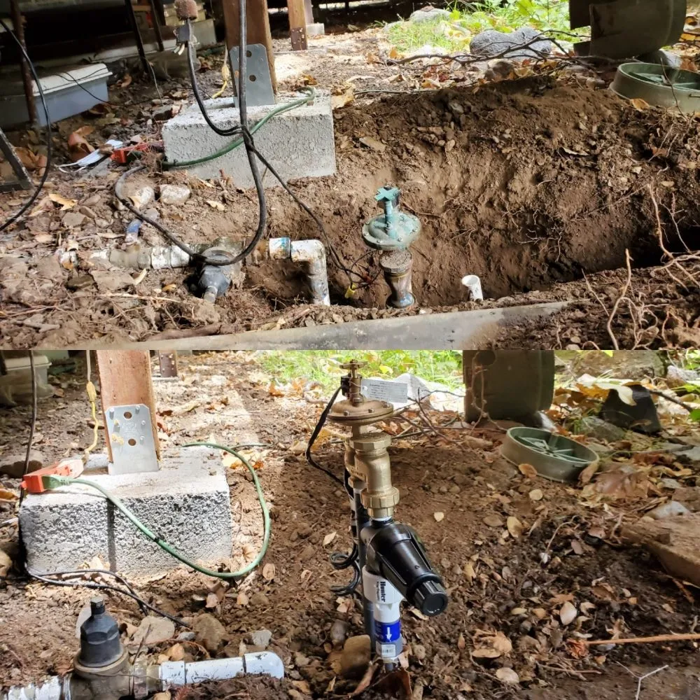 Professional residential landscaping in Los Angeles, CA by Immaculate Landscape