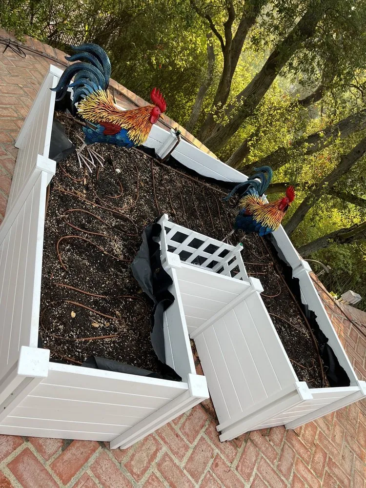 Top-rated residential landscaping near you across Los Angeles, CA - Immaculate Landscape